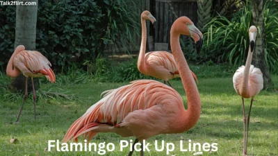 Flamingo Pick Up Lines