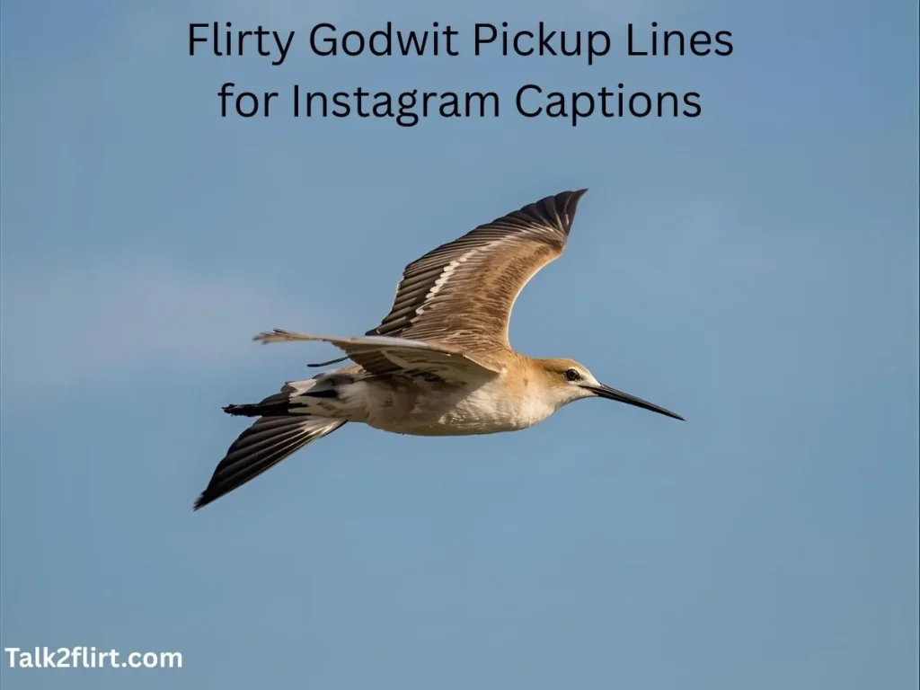 Flirty Godwit Pickup Lines for Instagram Captions