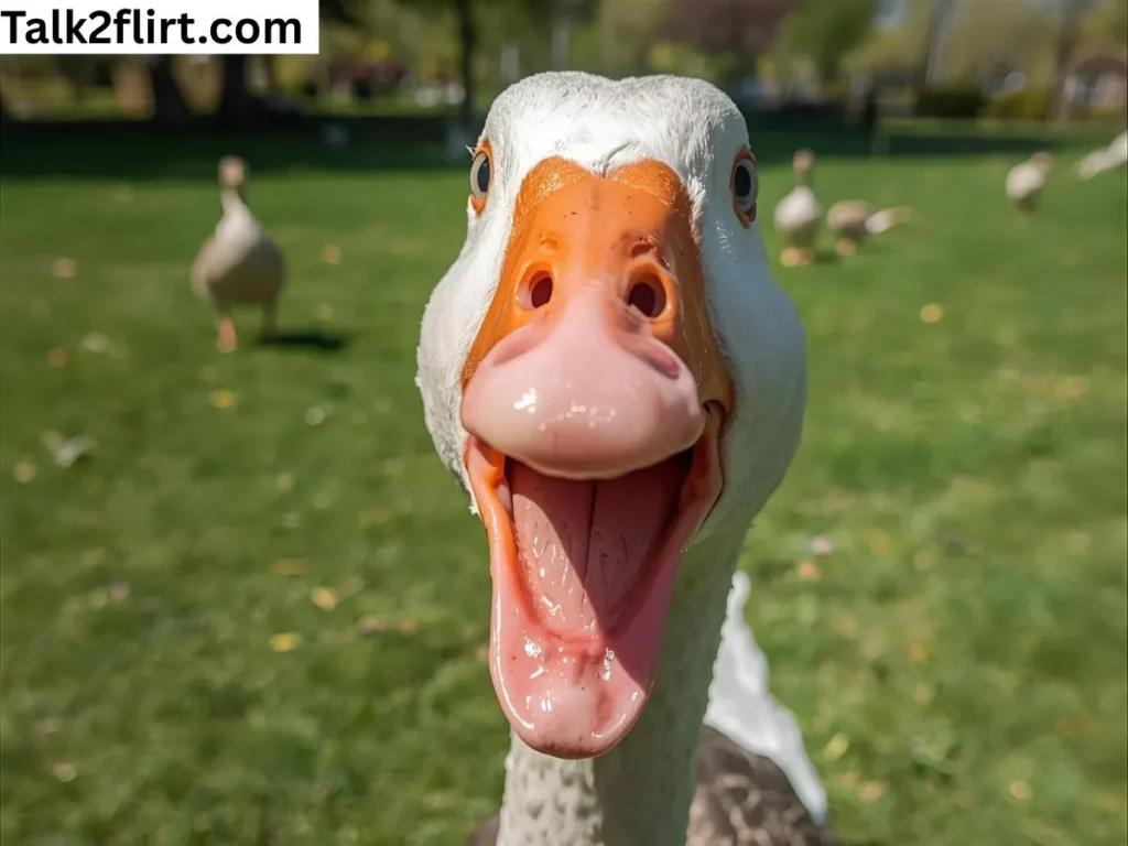 Funny Goose Quotes