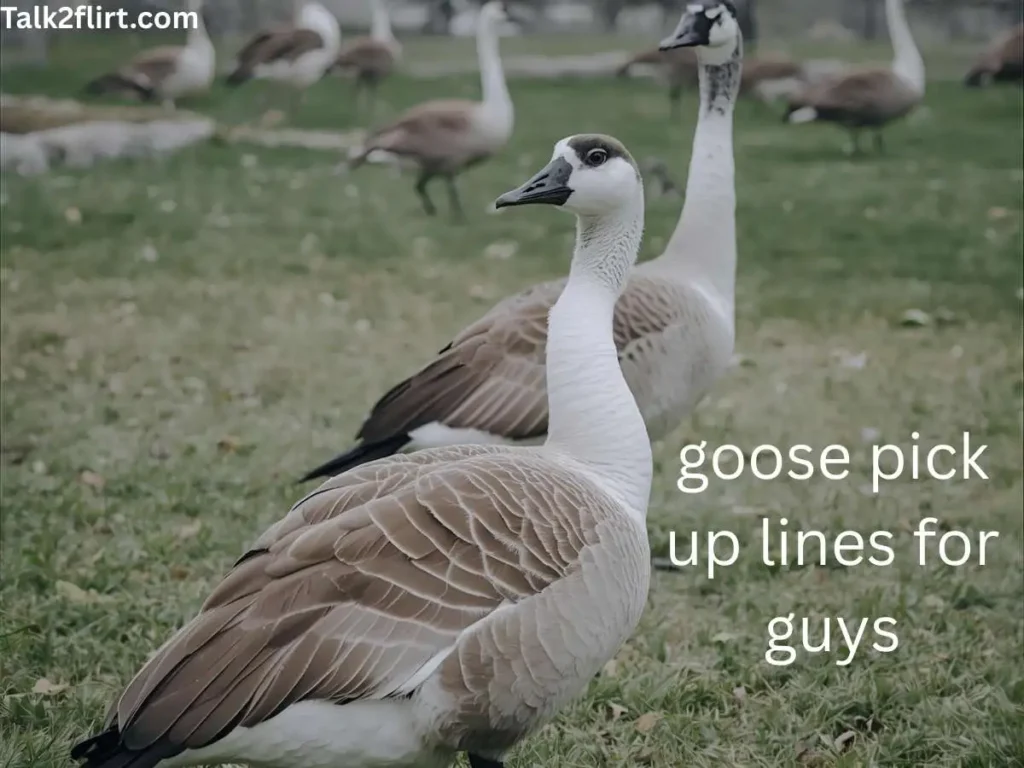 goose pick up lines for best friends
