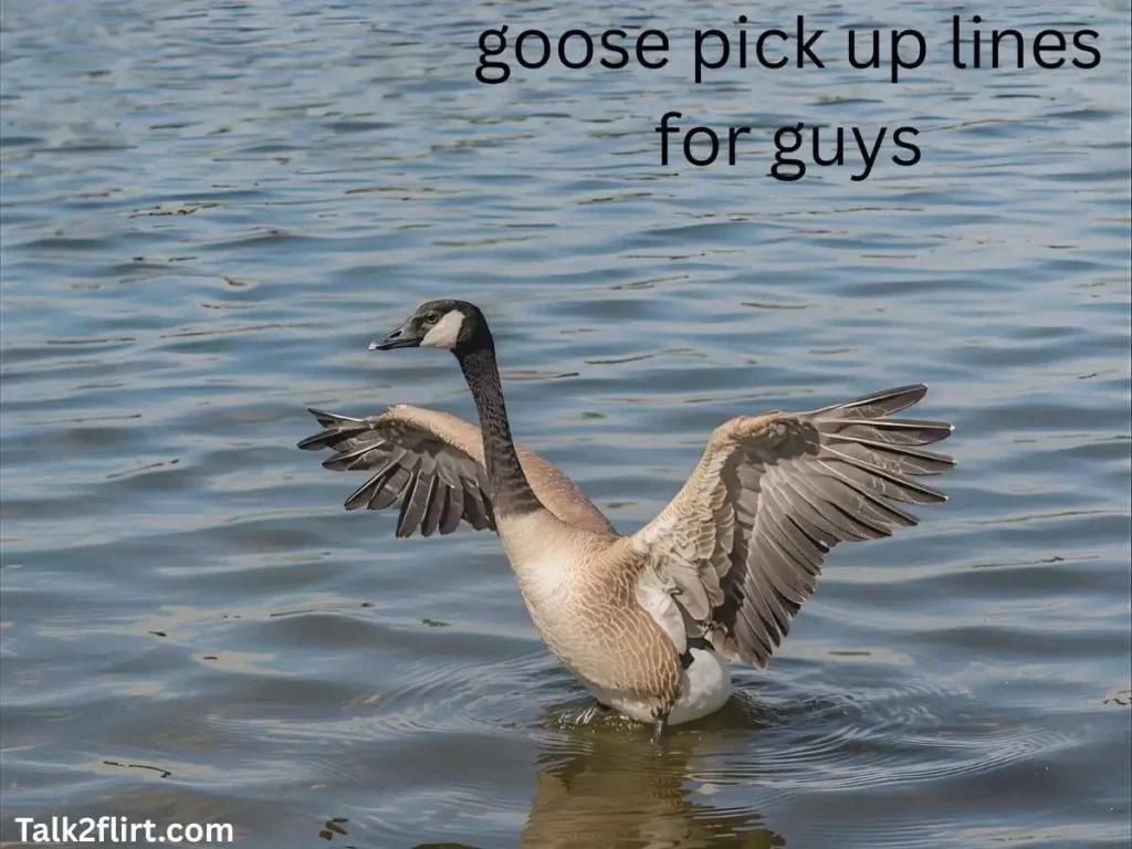 goose pick up lines for guys