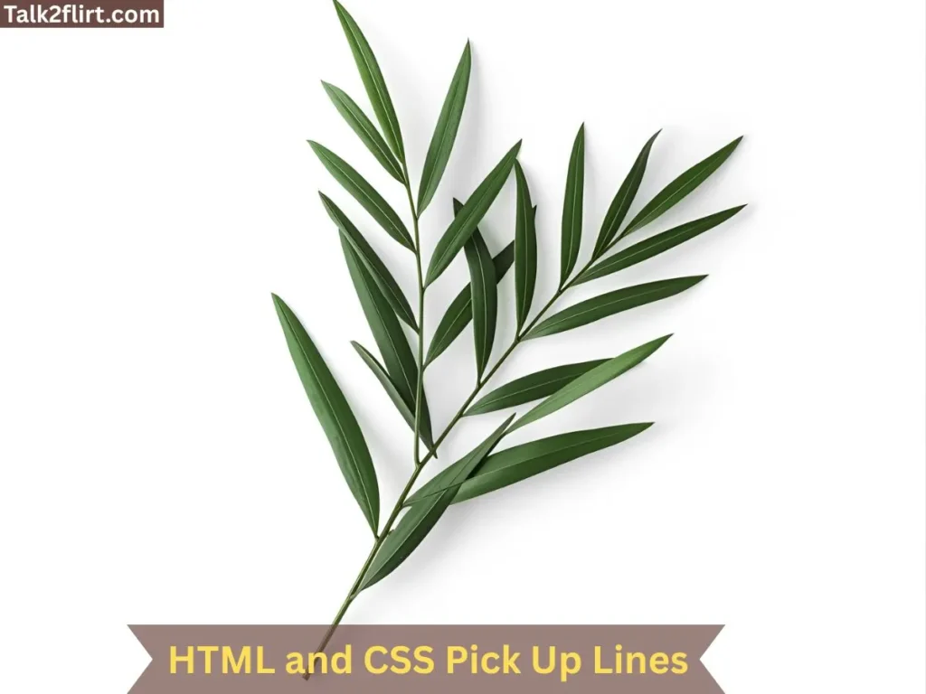 HTML and CSS Pick Up Lines