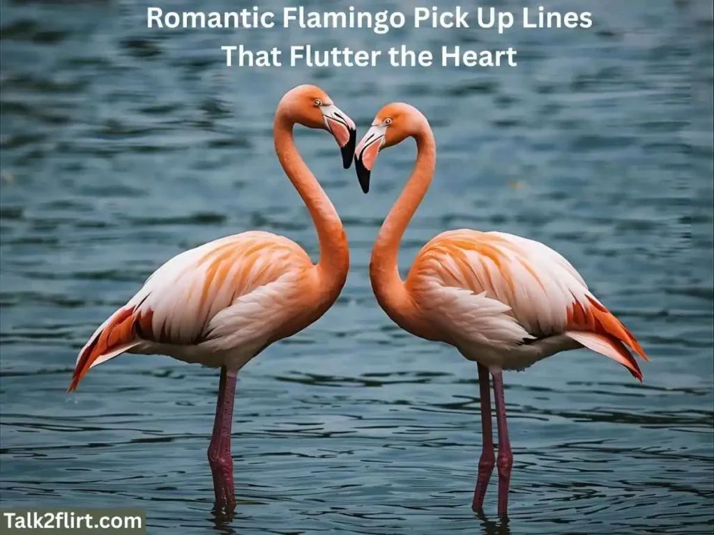 Romantic Flamingo Pick Up Lines That Flutter the Heart