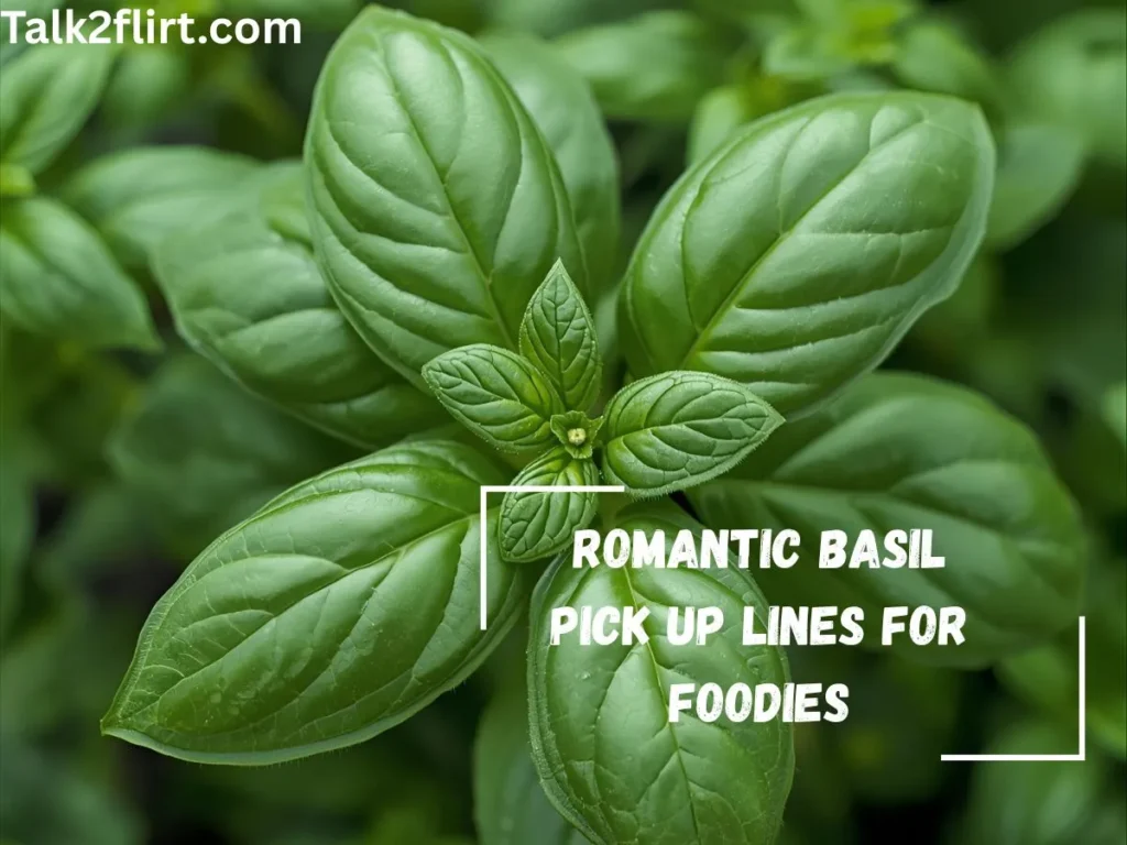Basil Pick Up Lines for Garden Lovers