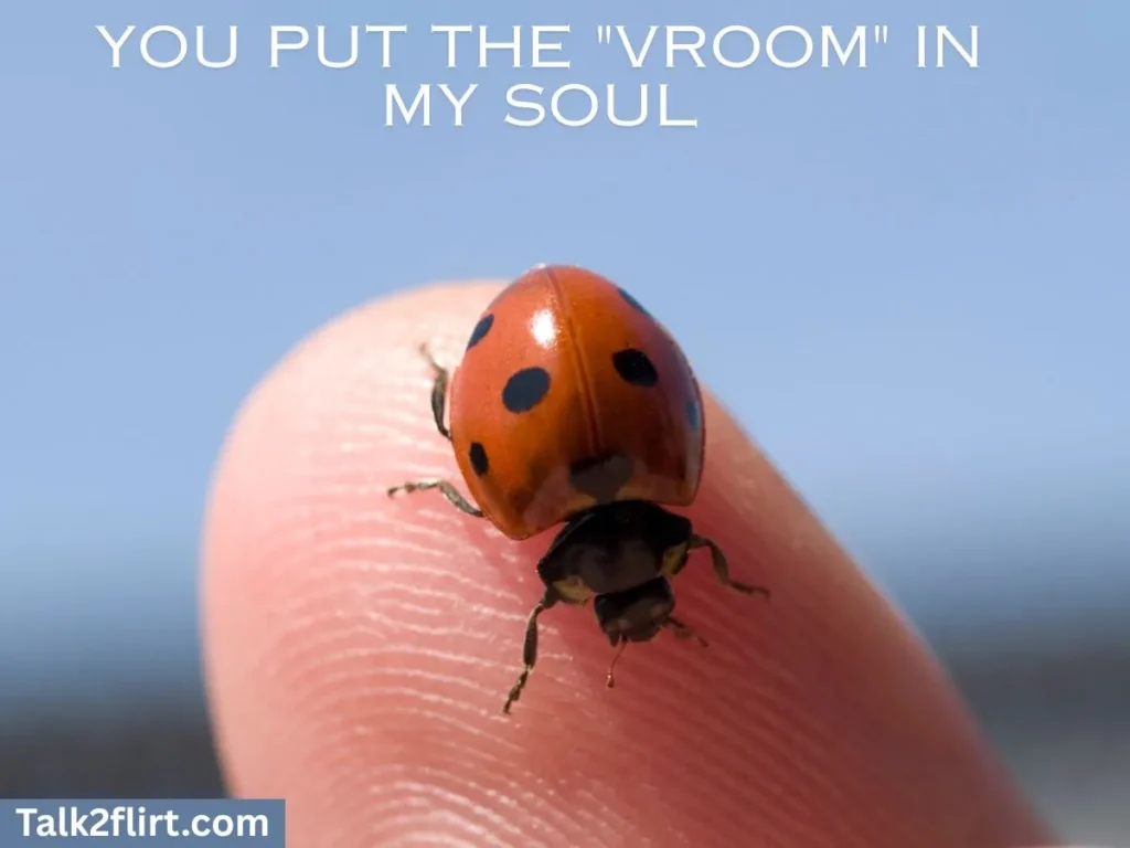 Beetle Pick Up Lines for Car Lovers (VW Bug Style)