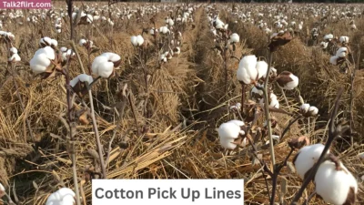 Cotton Pick Up Lines