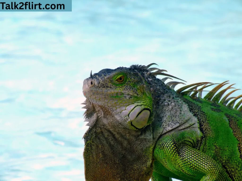 Cringey (But Cute) Godzilla Pick Up Lines That Still Work