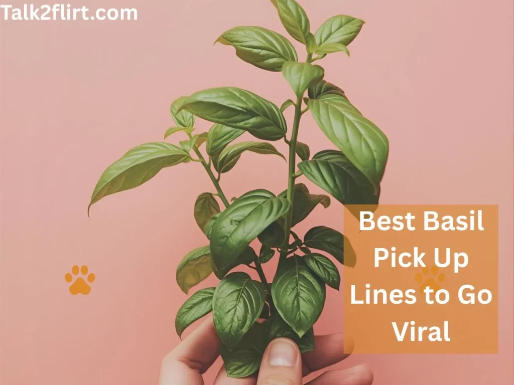 Cute Basil Pick Up Lines for Instagram Captions