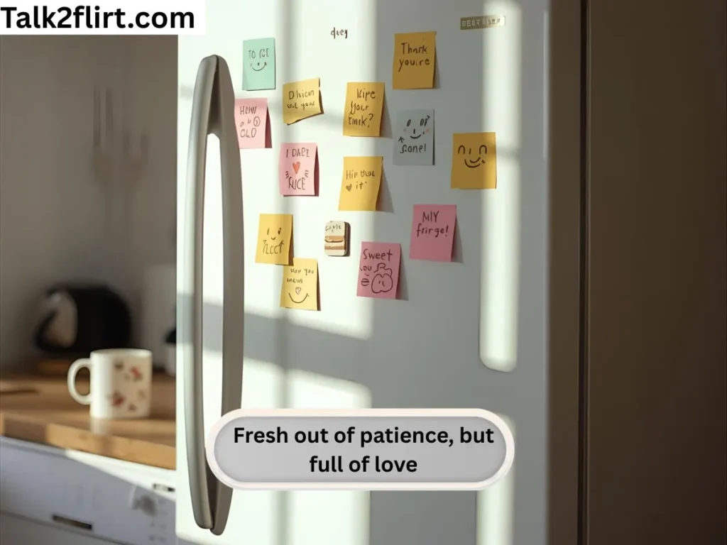 Cute Fridge Lines for Captions and Comments