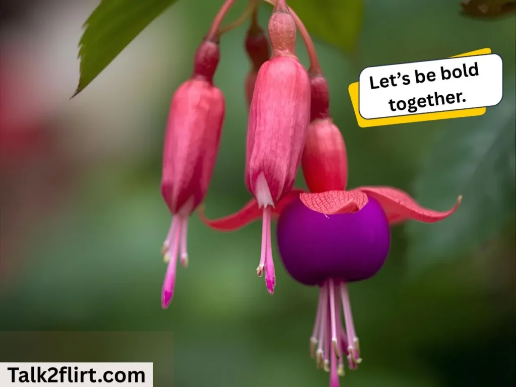 Cute Fuschia Lines to Slide into DMs