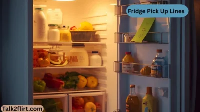 Fridge Pick Up Lines