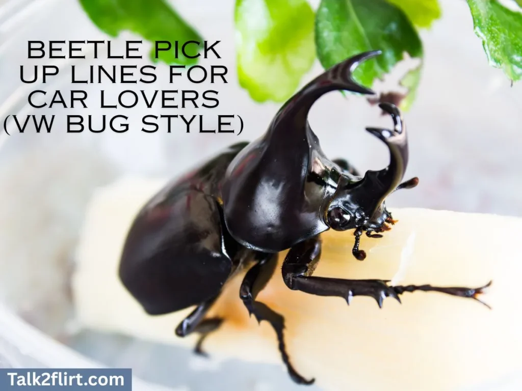 Funny Beetle Pick Up Lines That’ll Make Them Laugh