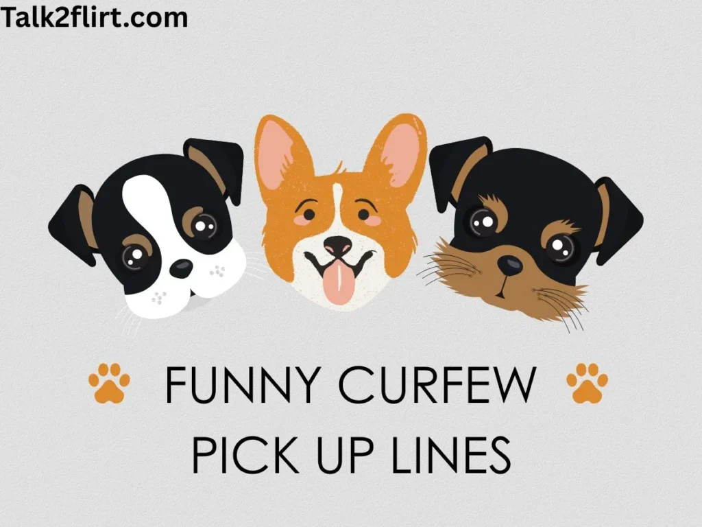 Funny Curfew Pick Up Lines