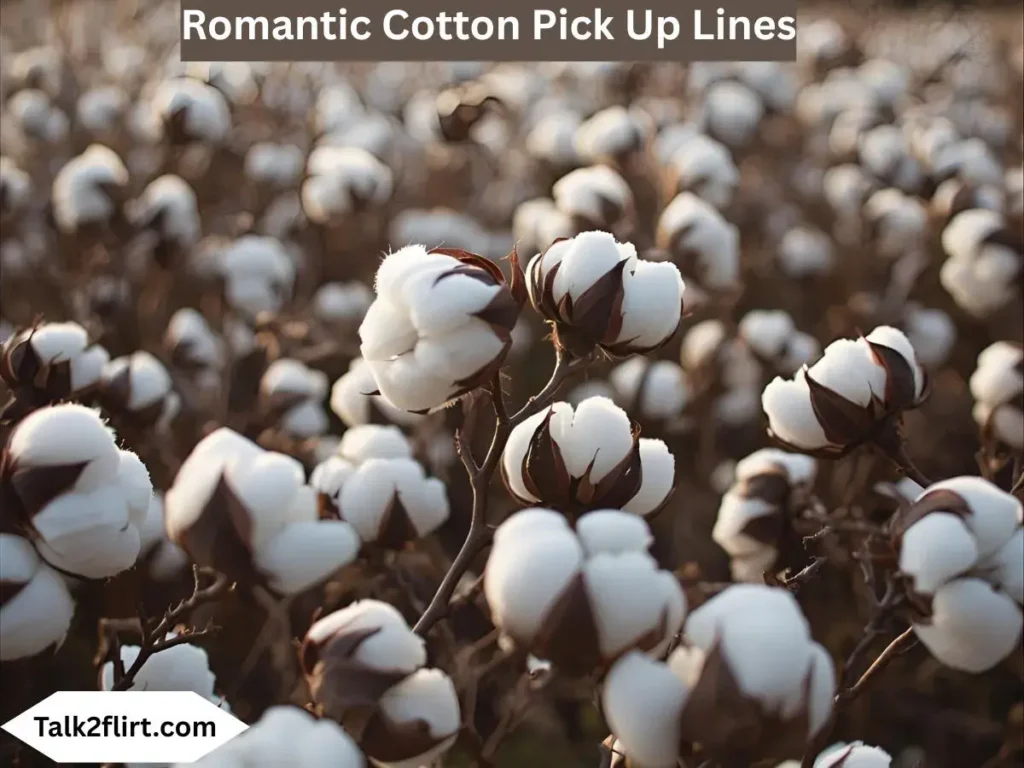 Romantic Cotton Pick Up Lines