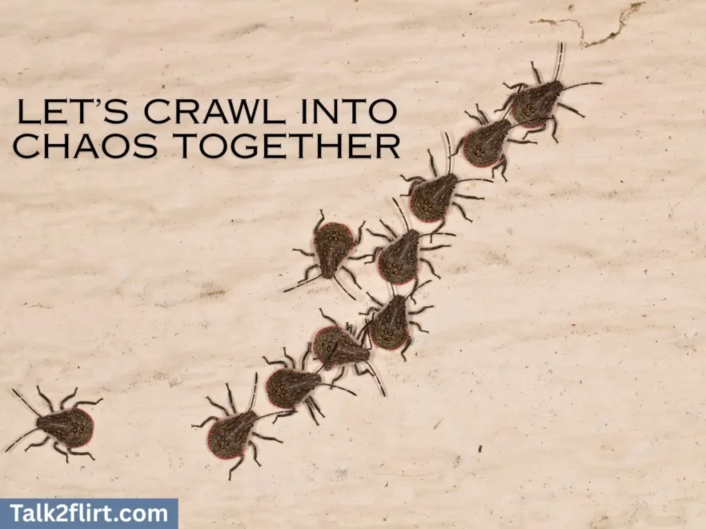 Weirdly Wonderful Beetle Pick Up Lines