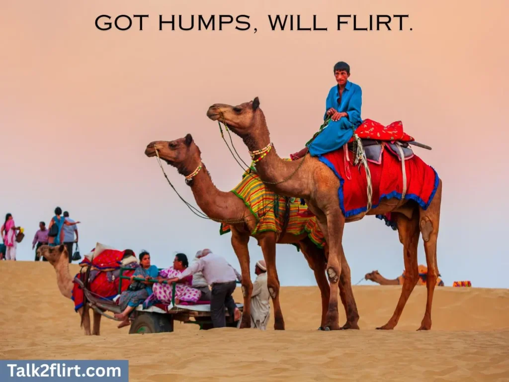 Wild and Witty One-Liners for Dromedary Fans