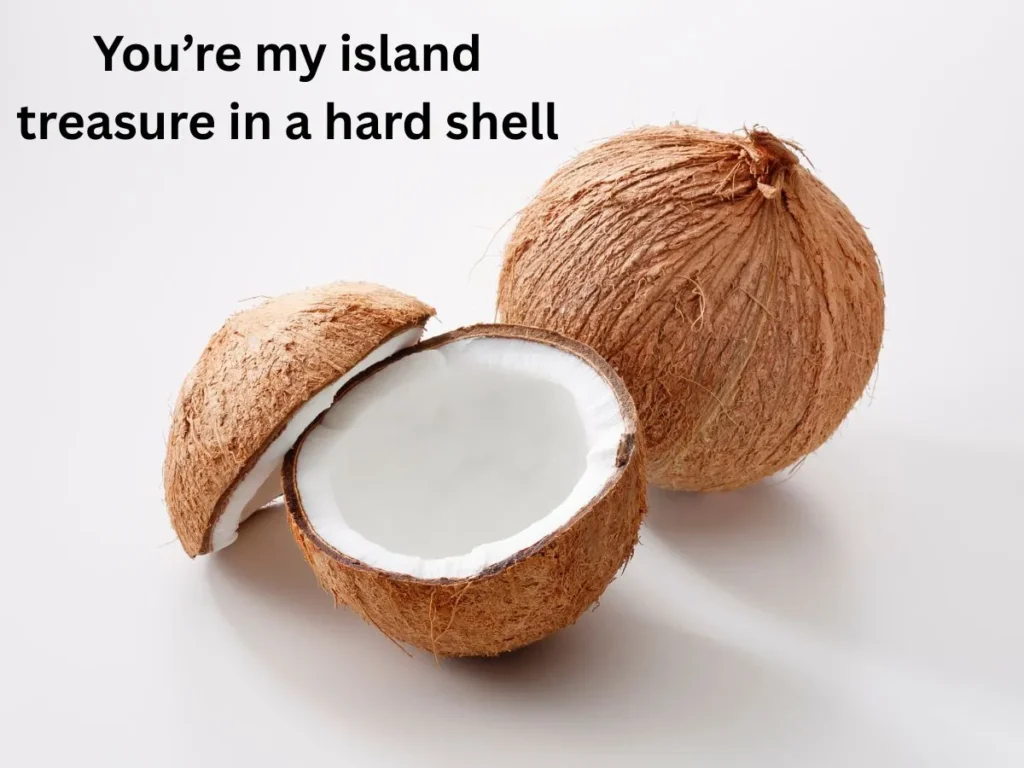Coconut Puns That’ll Crack a Smile