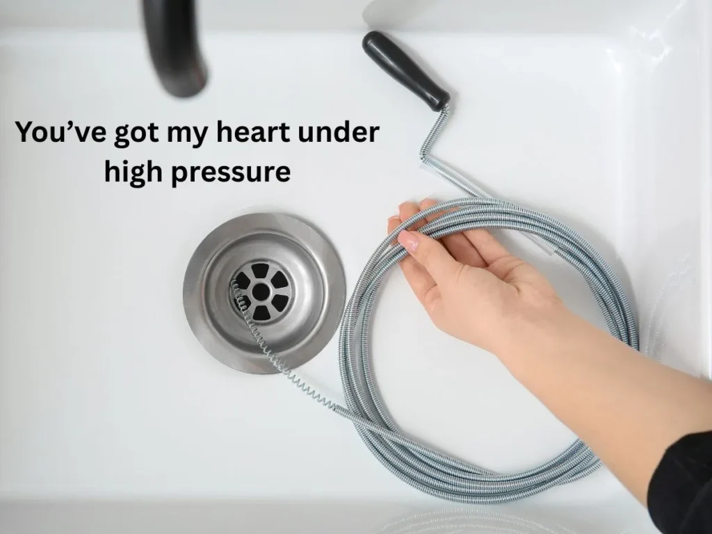 Corny Clogged Pick Up Lines