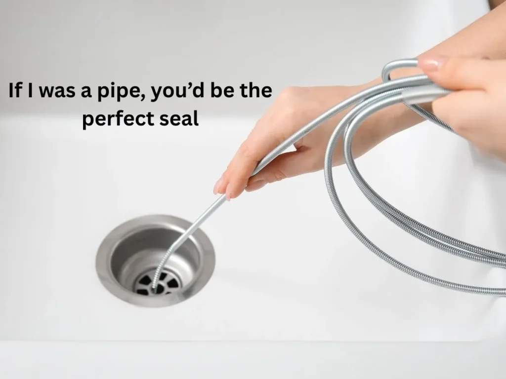 Flirty Clogged Pick Up Lines