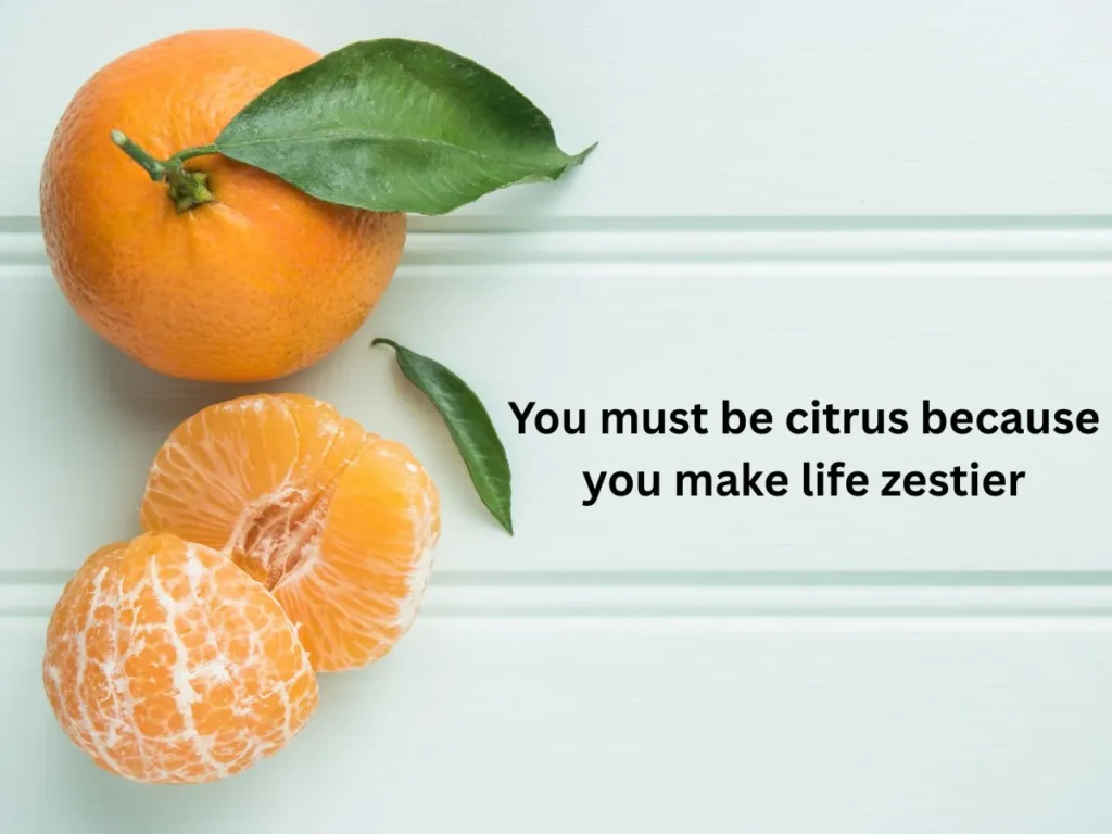 Funny Clementine Pick Up Lines