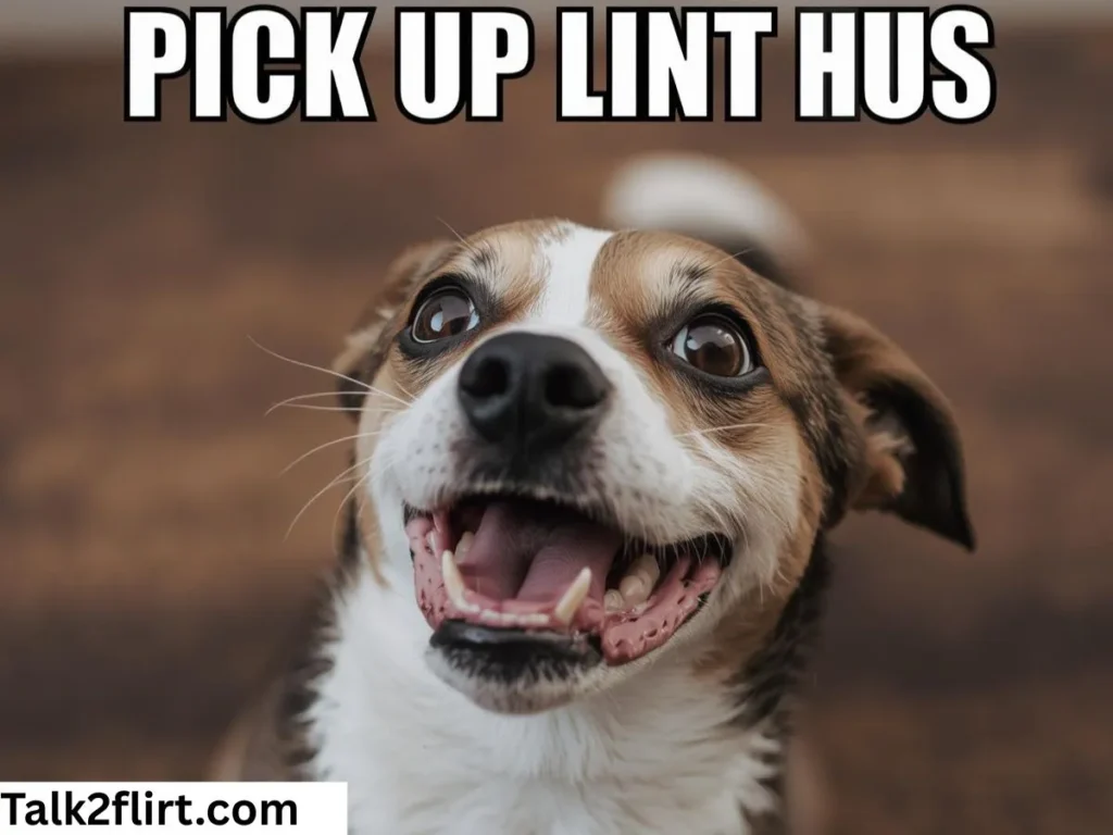 Funny Dog Pick Up Lines