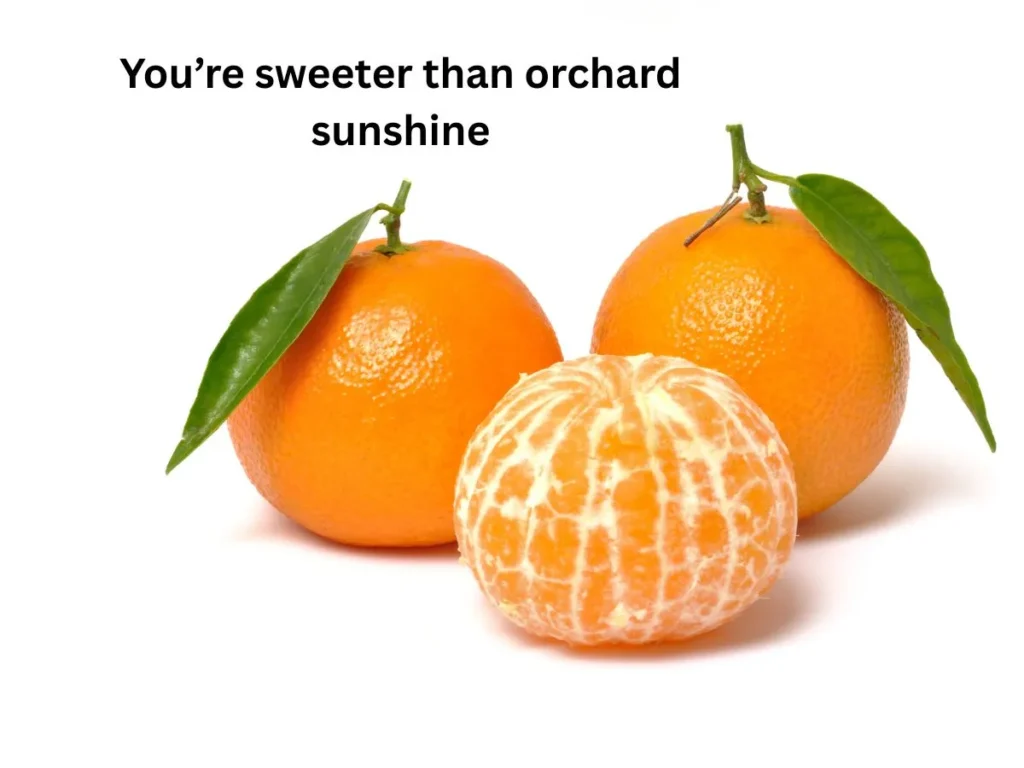Romantic Clementine Pick Up Lines