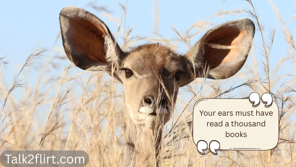 Clever Ear Pick Up Lines