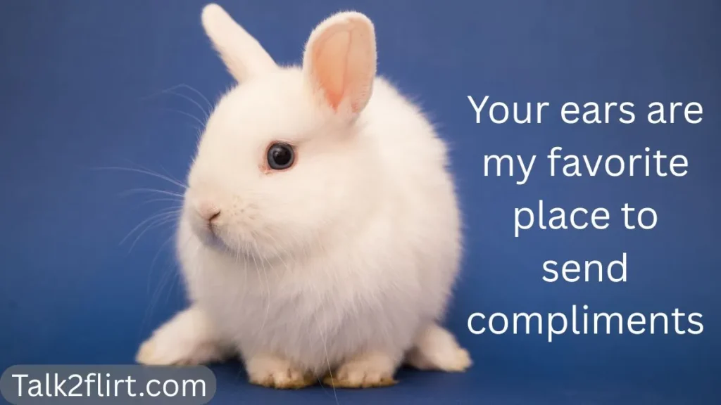 Cute Ear Pick Up Lines