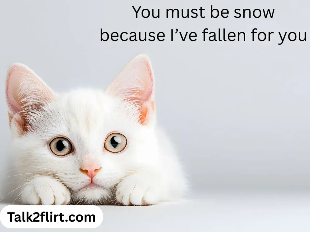 Cute Example Pick Up Lines