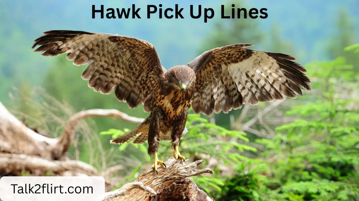 Hawk Pick Up Lines