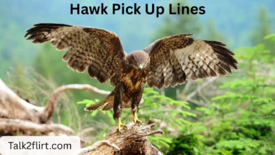 Hawk Pick Up Lines