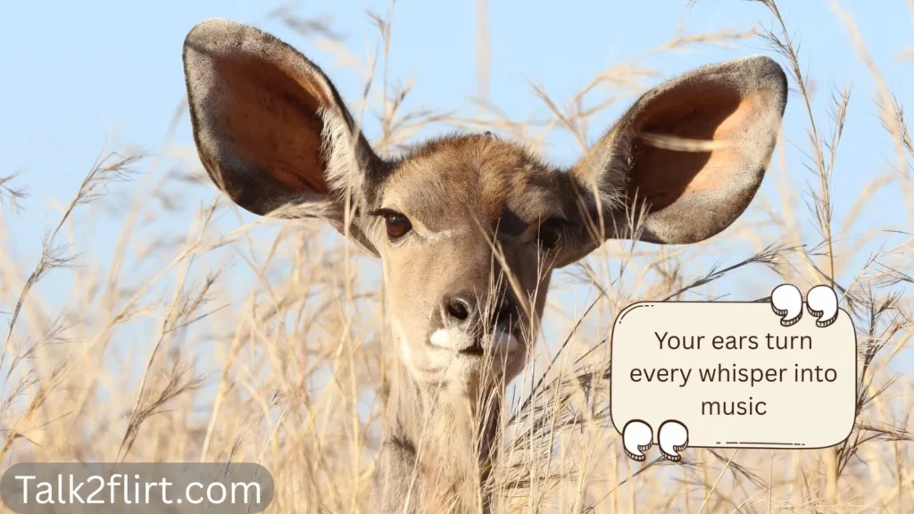 Sweet Ear Pick Up Lines