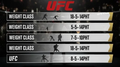 weight classes ufc
